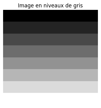 image niveaux de gris