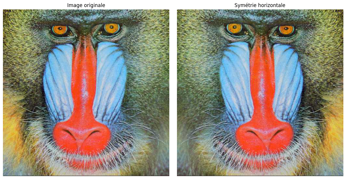 Symétrie horizontale